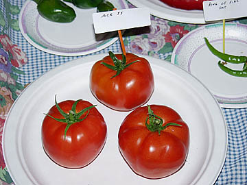 http://www.farmerfred.com/images/ace55tomato.jpg